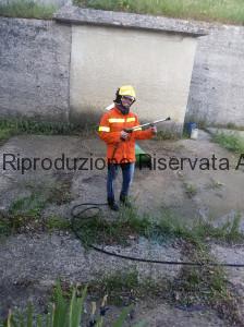 addestramento antincendio alessandria del carretto