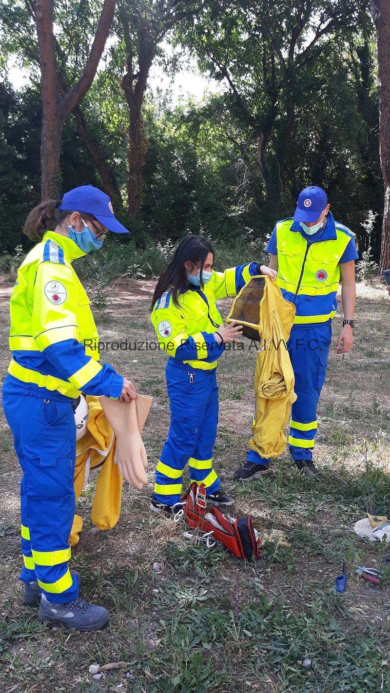 2020-05-28 – Recupero Api – Via Odescalchi Attività e Interventi